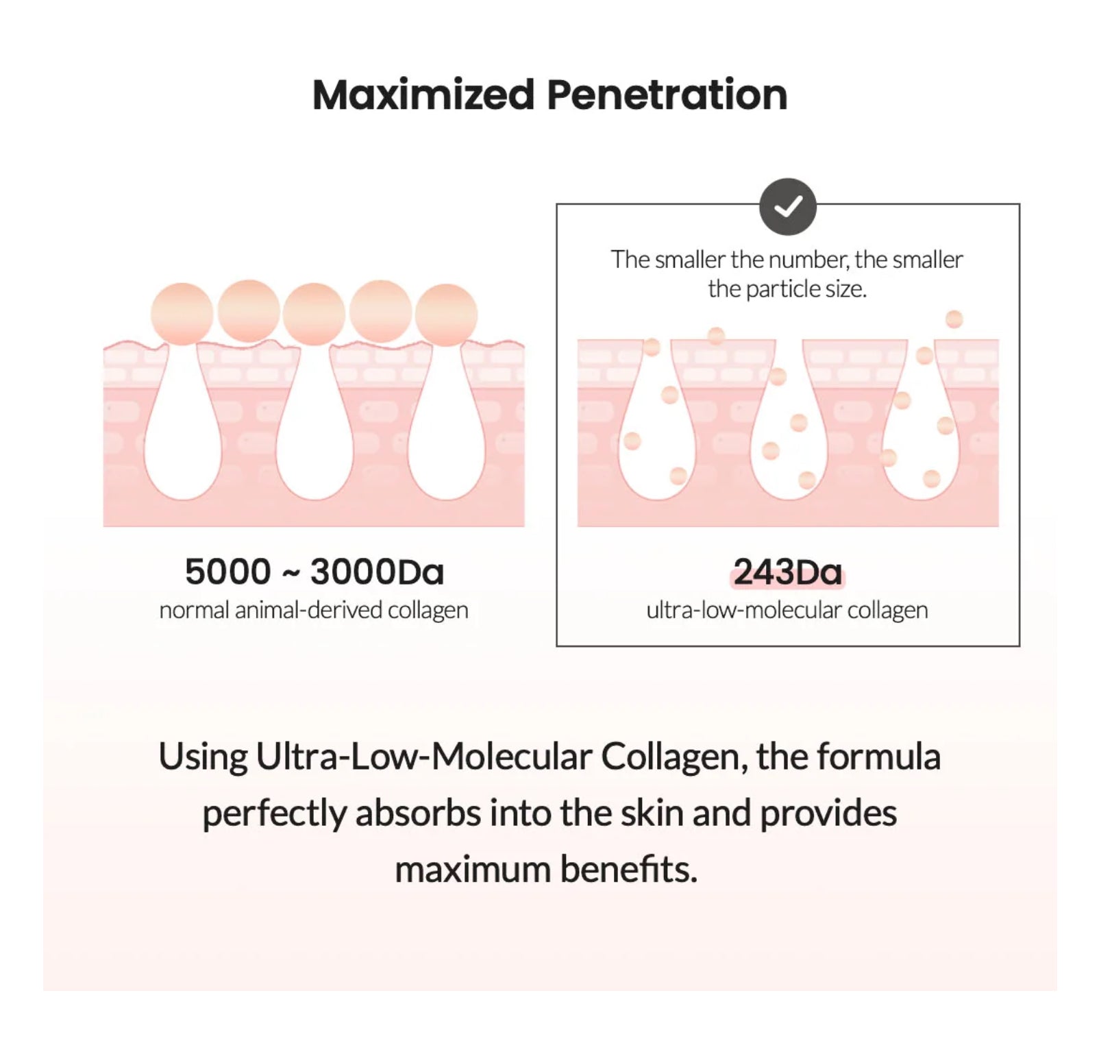 Biodance - Pore Tightening Collagen Cream 50ml